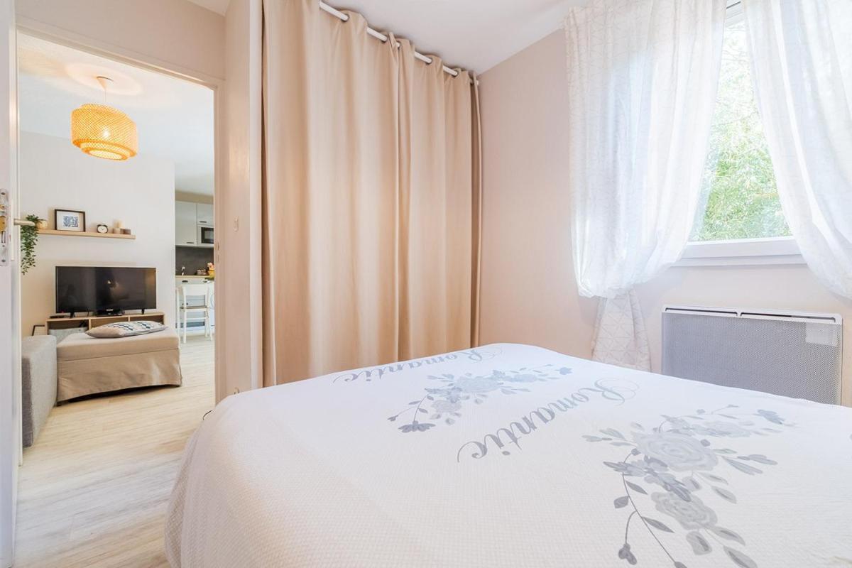 Les Capitouls - Avec Entree Autonome, Clim Neuve, Jardin, Parking Prive & Sa Piscine ! - Apartment Toulouse Exterior foto